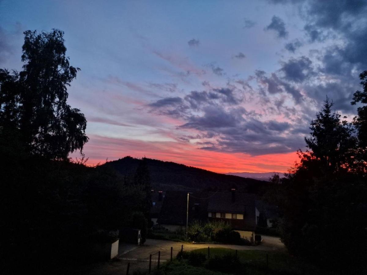 바덴바일러 Bellavista 아파트 외부 사진